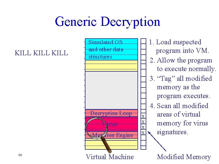 Generic Decryption KILL Simulated OS and other data structures Host Program Decryption Loop Virus