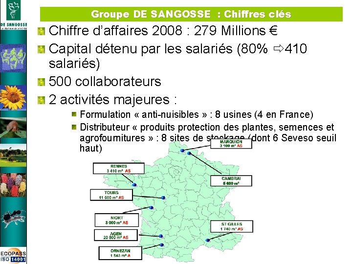 Groupe DE SANGOSSE : Chiffres clés Chiffre d’affaires 2008 : 279 Millions € Capital