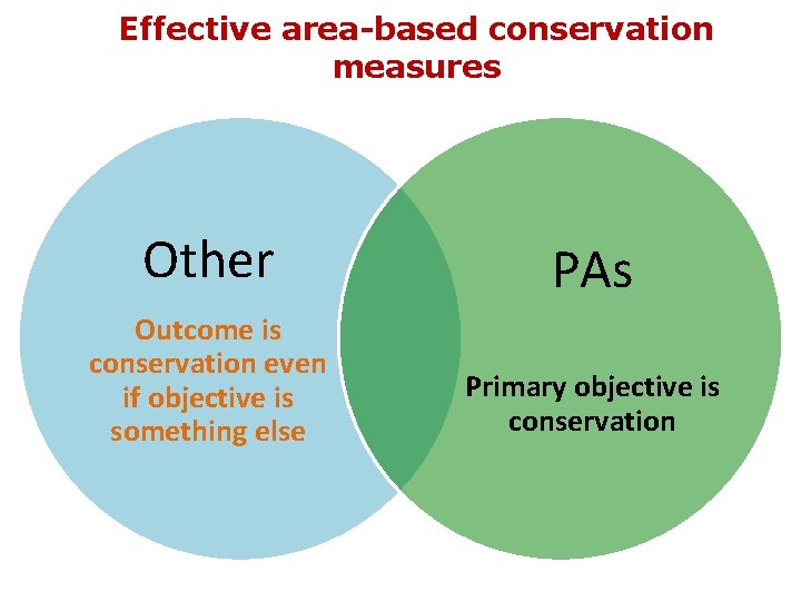 Effective area-based conservation measures Other PAs Outcome is conservation even if objective is something