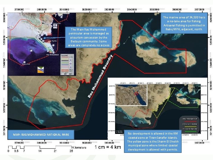 The Main Ras Mohammed peninsular area is managed as a tourism concession by the