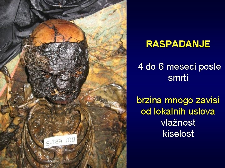 RASPADANJE 4 do 6 meseci posle smrti brzina mnogo zavisi od lokalnih uslova vlažnost