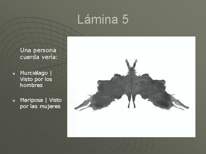 Lámina 5 Una persona cuerda vería: u u Murciélago | Visto por los hombres
