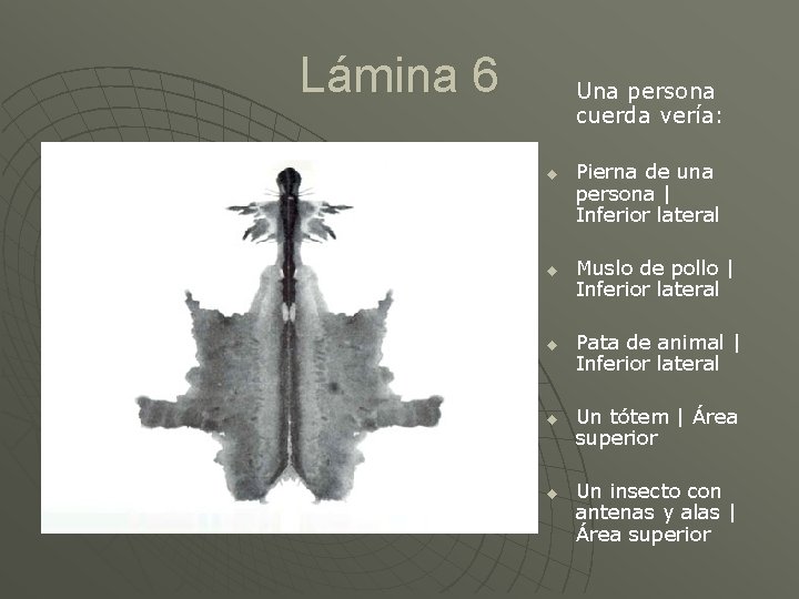 Lámina 6 Una persona cuerda vería: u u u Pierna de una persona |