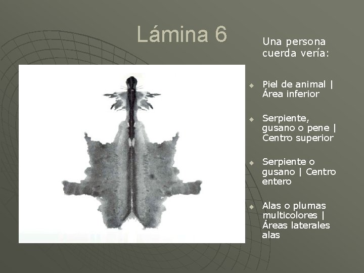 Lámina 6 Una persona cuerda vería: u u Piel de animal | Área inferior