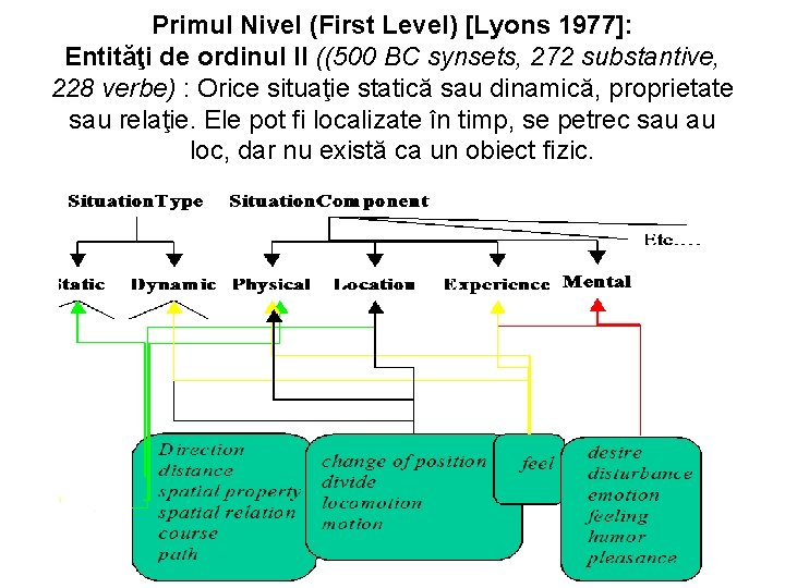 Primul Nivel (First Level) [Lyons 1977]: Entităţi de ordinul II ((500 BC synsets, 272