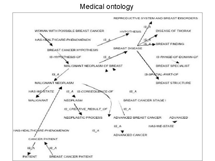 Medical ontology 