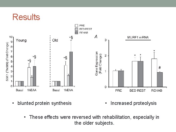 Results • blunted protein synthesis • Increased proteolysis • These effects were reversed with