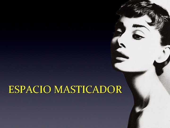 ESPACIO MASTICADOR 