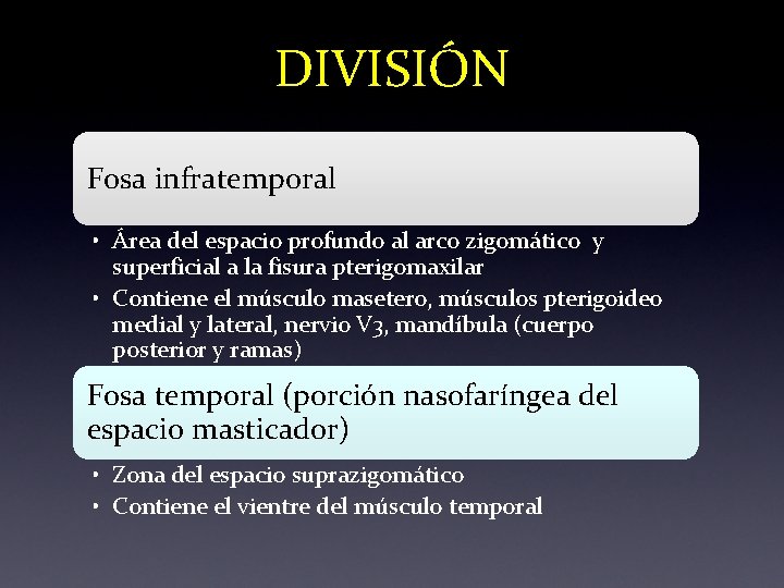 DIVISIÓN Fosa infratemporal • Área del espacio profundo al arco zigomático y superficial a