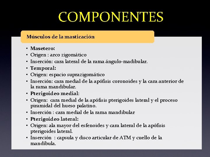 COMPONENTES Músculos de la masticación • • • Masetero: Origen : arco zigomático Inserción: