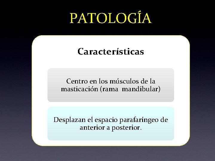 PATOLOGÍA Características Centro en los músculos de la masticación (rama mandibular) Desplazan el espacio