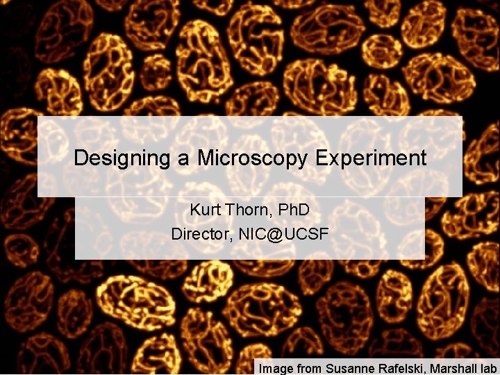 Designing a Microscopy Experiment Kurt Thorn, Ph. D Director, NIC@UCSF Image from Susanne Rafelski,