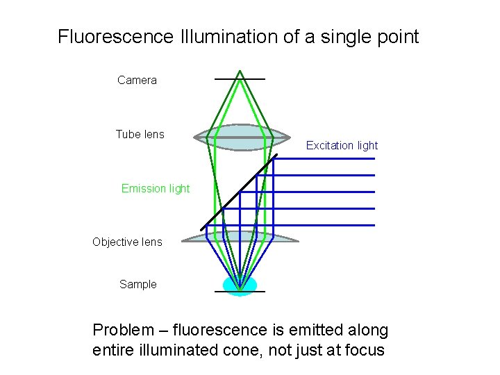 Fluorescence Illumination of a single point Camera Tube lens Excitation light Emission light Objective