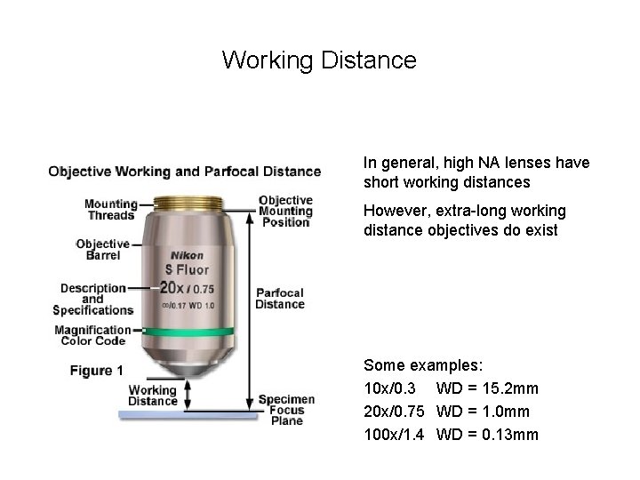 Working Distance In general, high NA lenses have short working distances However, extra-long working