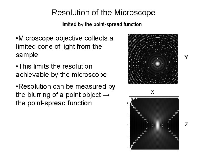 Resolution of the Microscope limited by the point-spread function • Microscope objective collects a