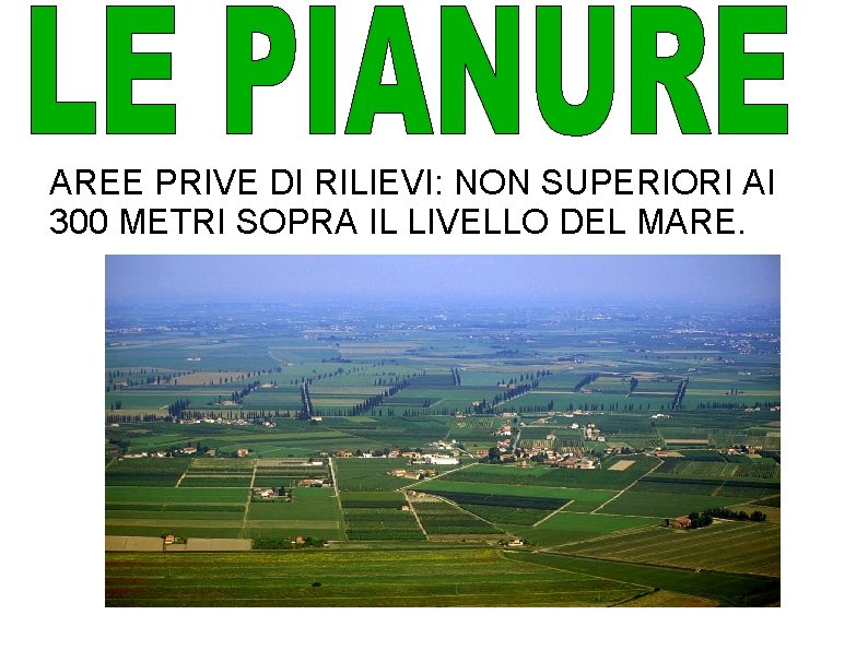 AREE PRIVE DI RILIEVI: NON SUPERIORI AI 300 METRI SOPRA IL LIVELLO DEL MARE.