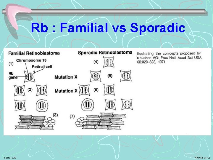 Rb : Familial vs Sporadic Lecture 26 Ahmed Group 