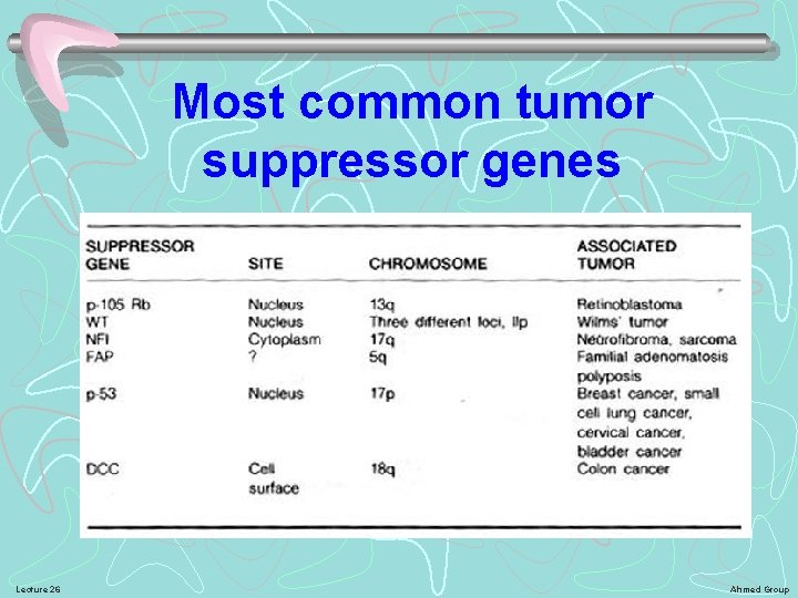 Most common tumor suppressor genes Lecture 26 Ahmed Group 