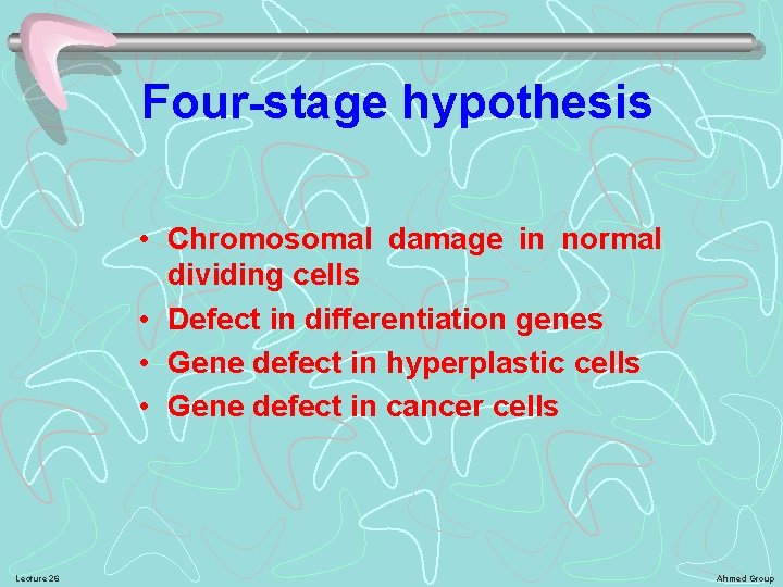 Four-stage hypothesis • Chromosomal damage in normal dividing cells • Defect in differentiation genes