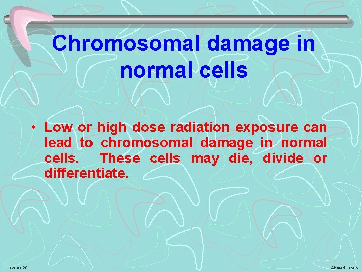 Chromosomal damage in normal cells • Low or high dose radiation exposure can lead