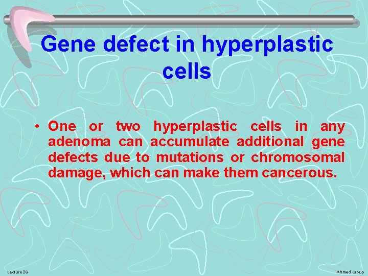 Gene defect in hyperplastic cells • One or two hyperplastic cells in any adenoma