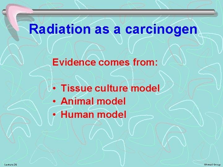 Radiation as a carcinogen Evidence comes from: • Tissue culture model • Animal model