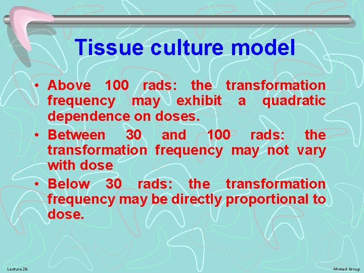 Tissue culture model • Above 100 rads: the transformation frequency may exhibit a quadratic