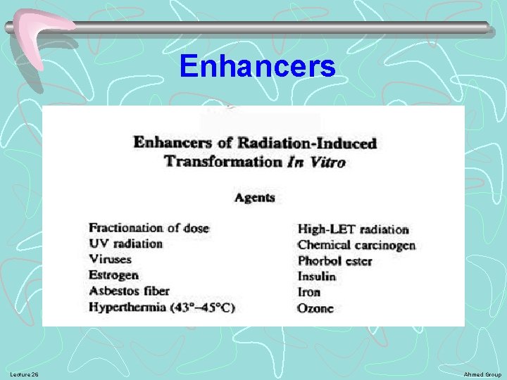 Enhancers Lecture 26 Ahmed Group 