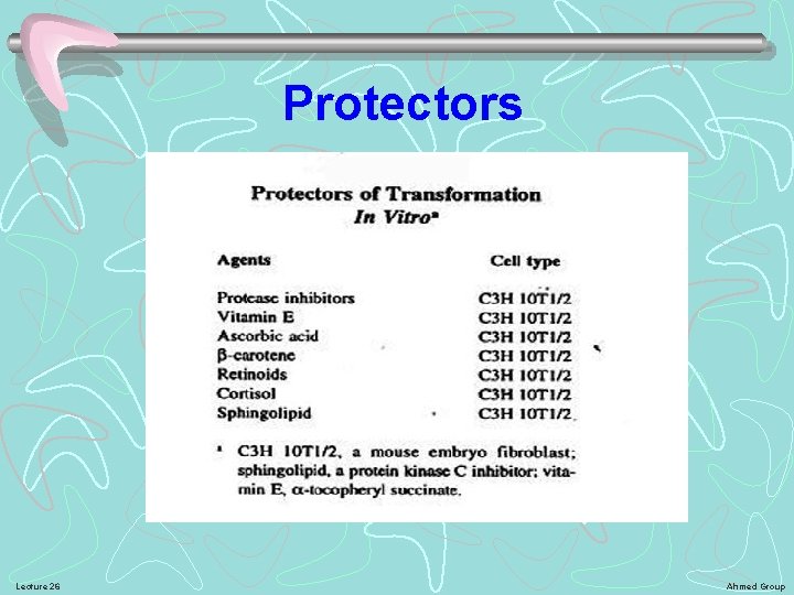 Protectors Lecture 26 Ahmed Group 