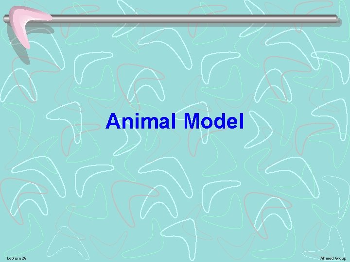 Animal Model Lecture 26 Ahmed Group 