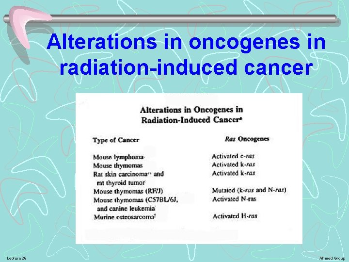 Alterations in oncogenes in radiation-induced cancer Lecture 26 Ahmed Group 