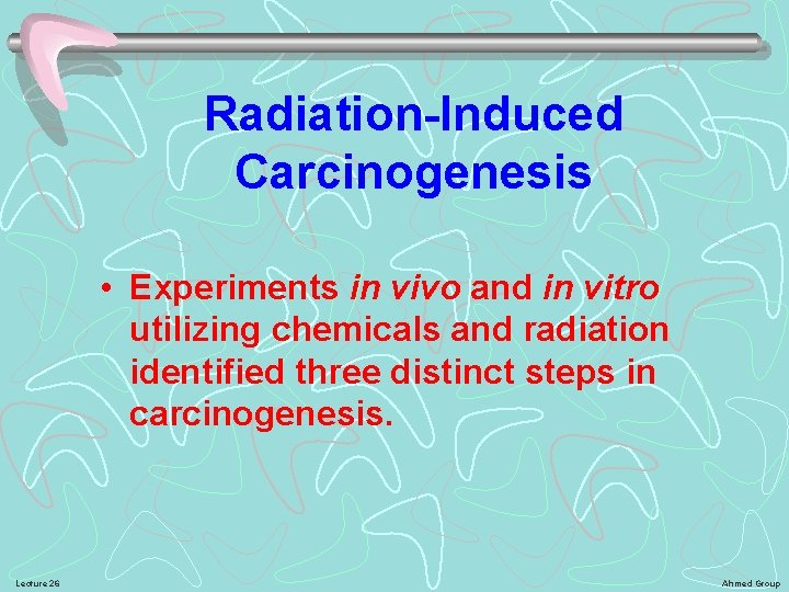 Radiation-Induced Carcinogenesis • Experiments in vivo and in vitro utilizing chemicals and radiation identified