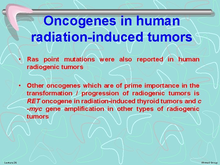 Oncogenes in human radiation-induced tumors • Ras point mutations were also reported in human