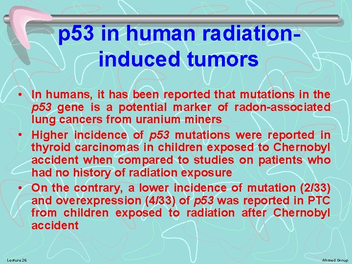 p 53 in human radiationinduced tumors • In humans, it has been reported that