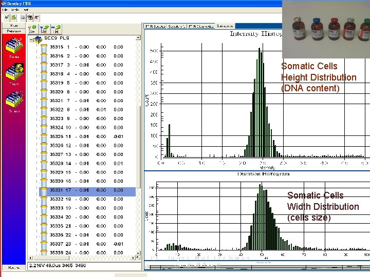 Somatic Cells Height Distribution (DNA content) Somatic Cells Width Distribution (cells size) IDF/ICAR Congress Somatic Cells Height Distribution (DNA content) Somatic Cells Width Distribution (cells size) IDF/ICAR Congress