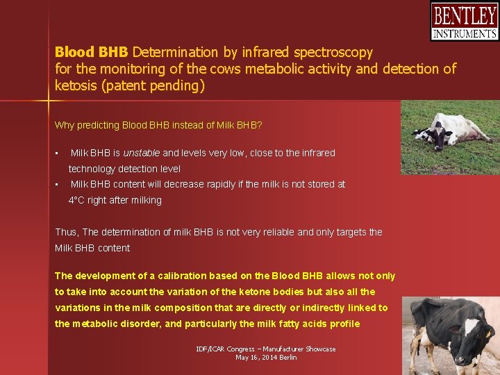 Blood BHB Determination by infrared spectroscopy for the monitoring of the cows metabolic activity Blood BHB Determination by infrared spectroscopy for the monitoring of the cows metabolic activity