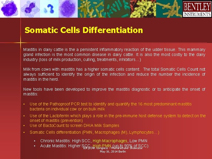 Somatic Cells Differentiation Mastitis in dairy cattle is the a persistent inflammatory reaction of Somatic Cells Differentiation Mastitis in dairy cattle is the a persistent inflammatory reaction of