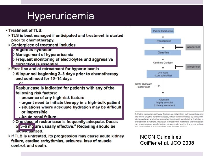 Hyperuricemia NCCN Guidelines Coiffier et al. JCO 2008 
