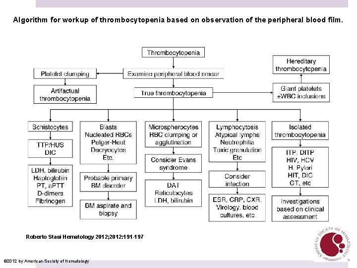 Algorithm for workup of thrombocytopenia based on observation of the peripheral blood film. Roberto