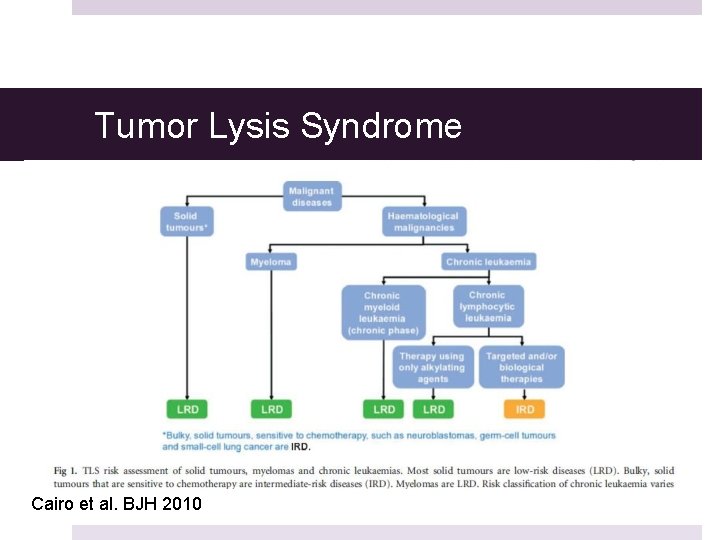 Tumor Lysis Syndrome Cairo et al. BJH 2010 