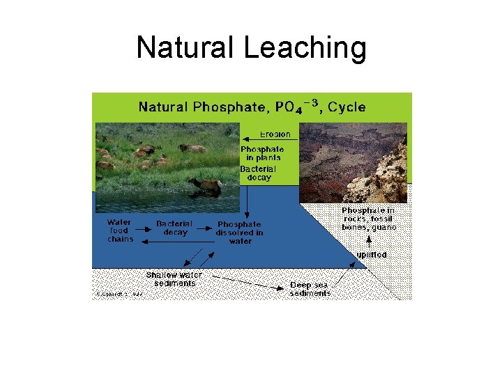 Natural Leaching 