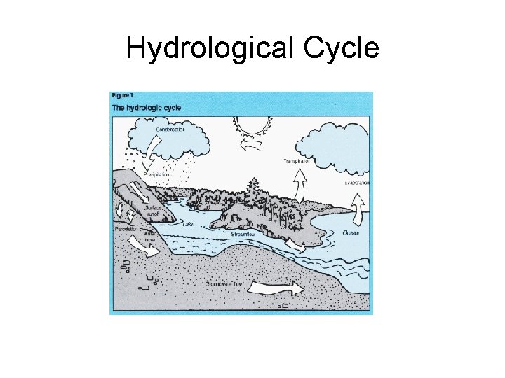 Hydrological Cycle 