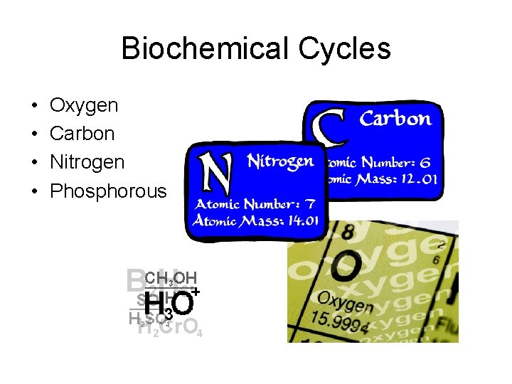 Biochemical Cycles • • Oxygen Carbon Nitrogen Phosphorous 