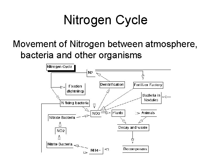 Nitrogen Cycle Movement of Nitrogen between atmosphere, bacteria and other organisms 