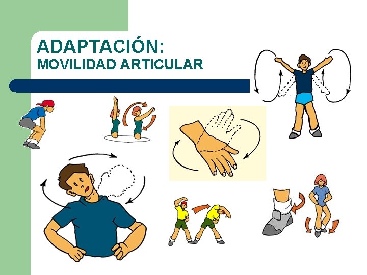 ADAPTACIÓN: MOVILIDAD ARTICULAR ADAPTACIÓN: MOVILIDAD ARTICULAR