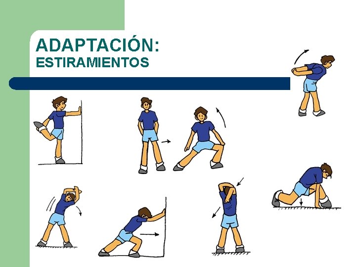 ADAPTACIÓN: ESTIRAMIENTOS ADAPTACIÓN: ESTIRAMIENTOS