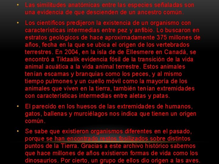 . • Las similitudes anatómicas entre las especies señaladas son una evidencia de que