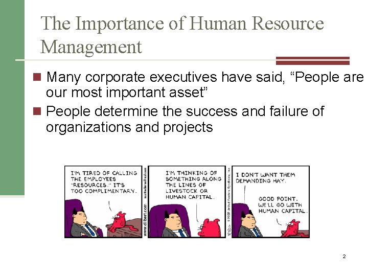 PMI Knowledge Areas Human Resource Management The Importance