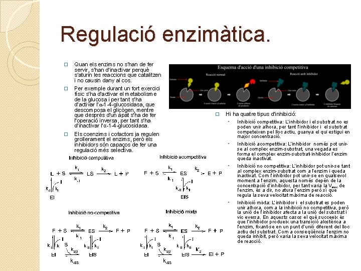 Regulació enzimàtica. � Quan els enzims no s’han de fer servir, s’han d’inactivar perquè