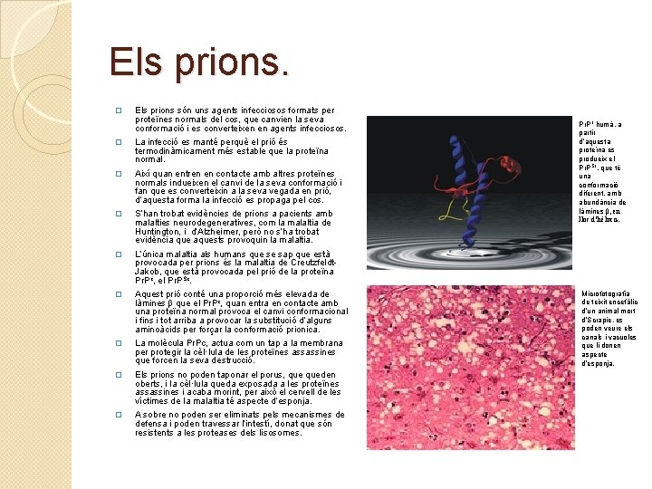 Els prions. � Els prions són uns agents infecciosos formats per proteïnes normals del